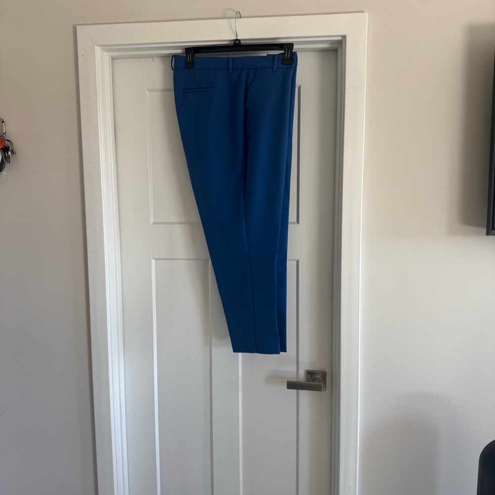 Vince Camuto Royal Blue Pants